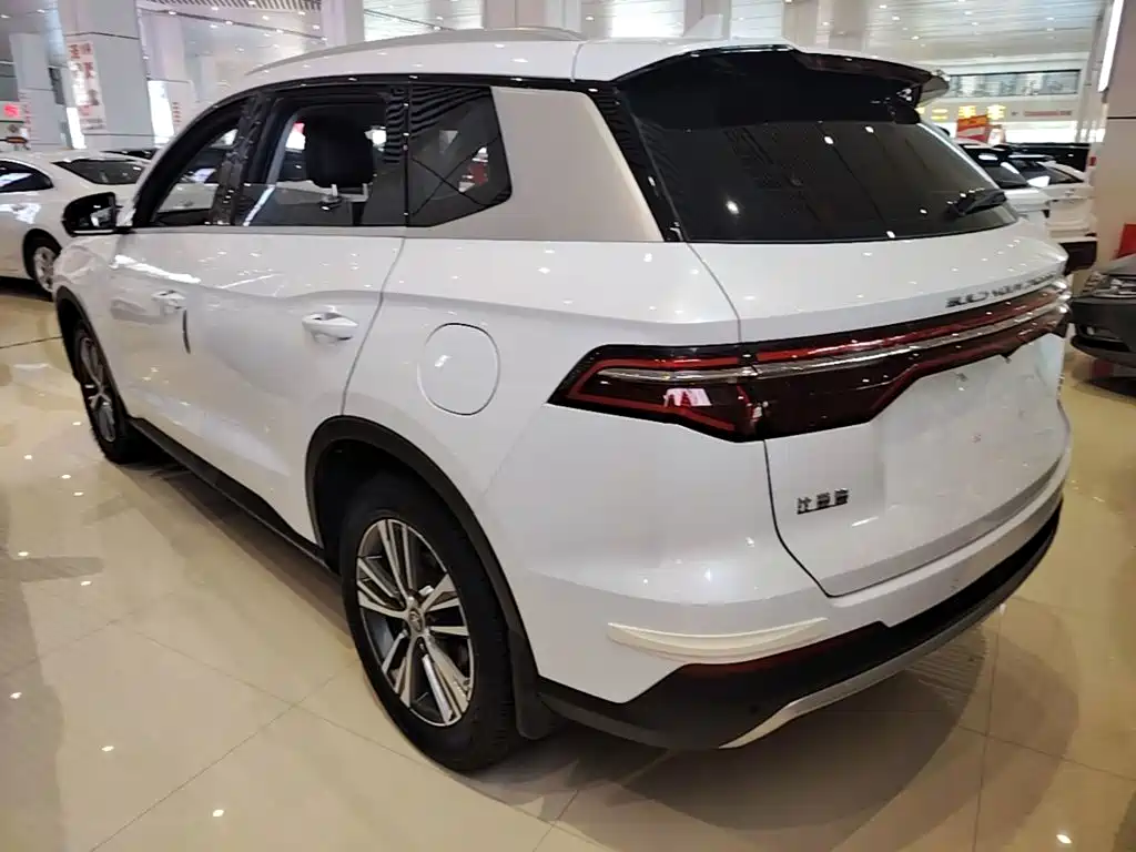 BYD Pro — миниатюра 5