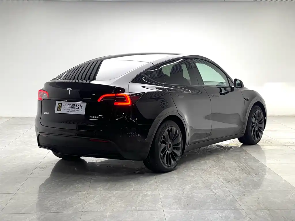 Tesla Model Y — миниатюра 6