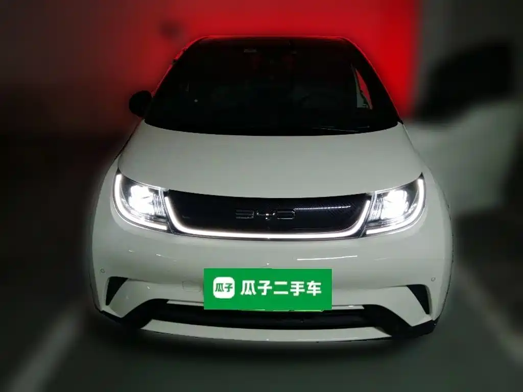 BYD Dolphin — миниатюра 2