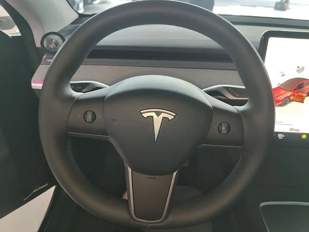 Tesla Model Y — миниатюра 11