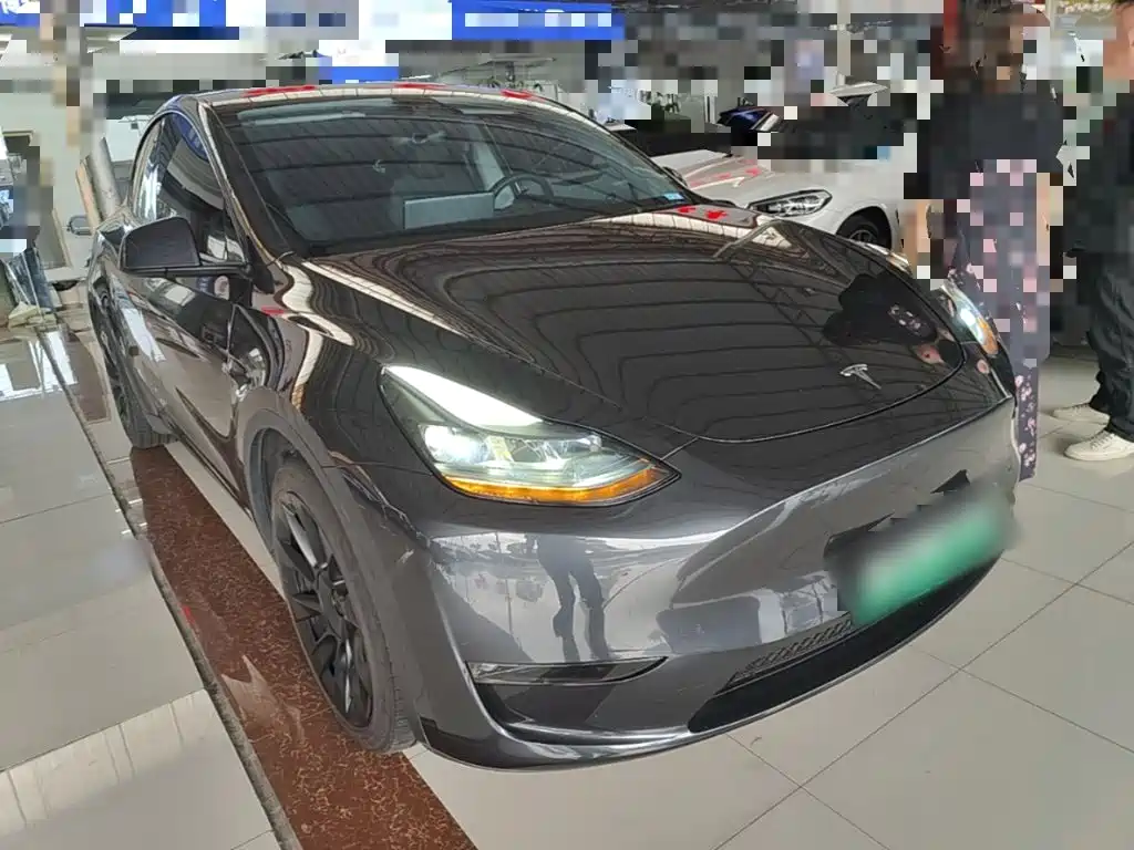 Tesla Model Y — миниатюра 4