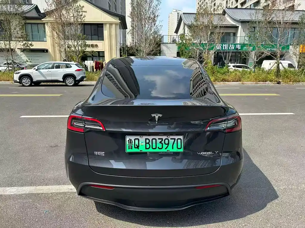 Tesla Model Y — миниатюра 7