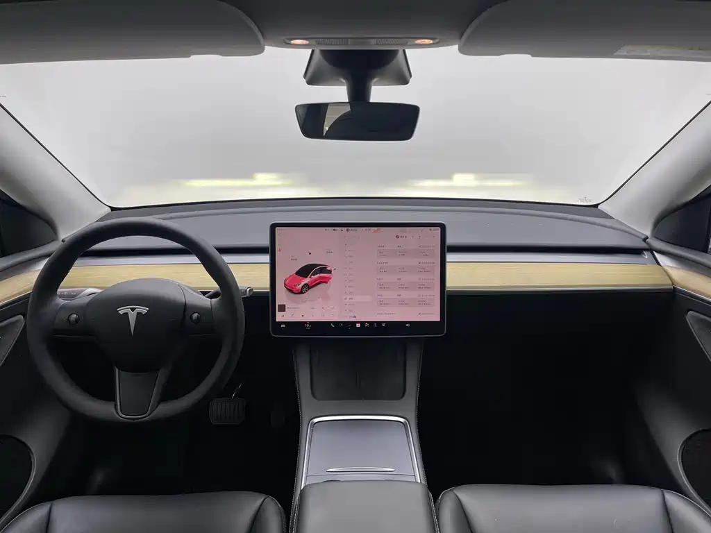 Tesla Model Y — миниатюра 13