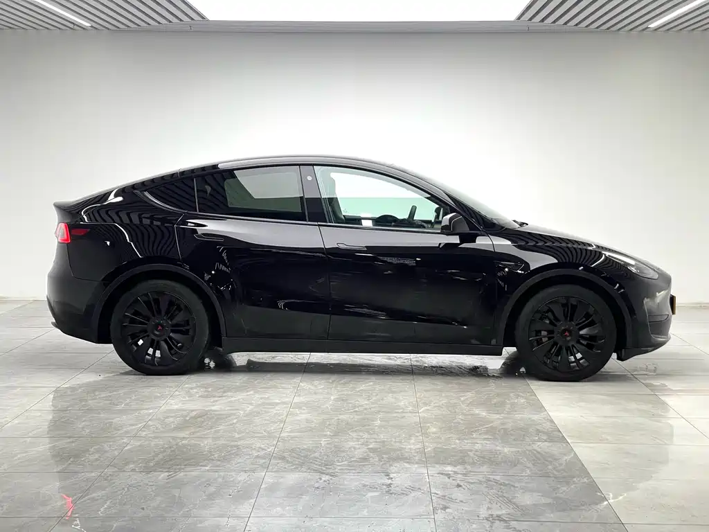 Tesla Model Y — миниатюра 8