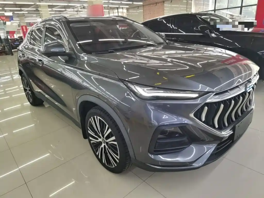 Oshan Oushang X5 — миниатюра 4