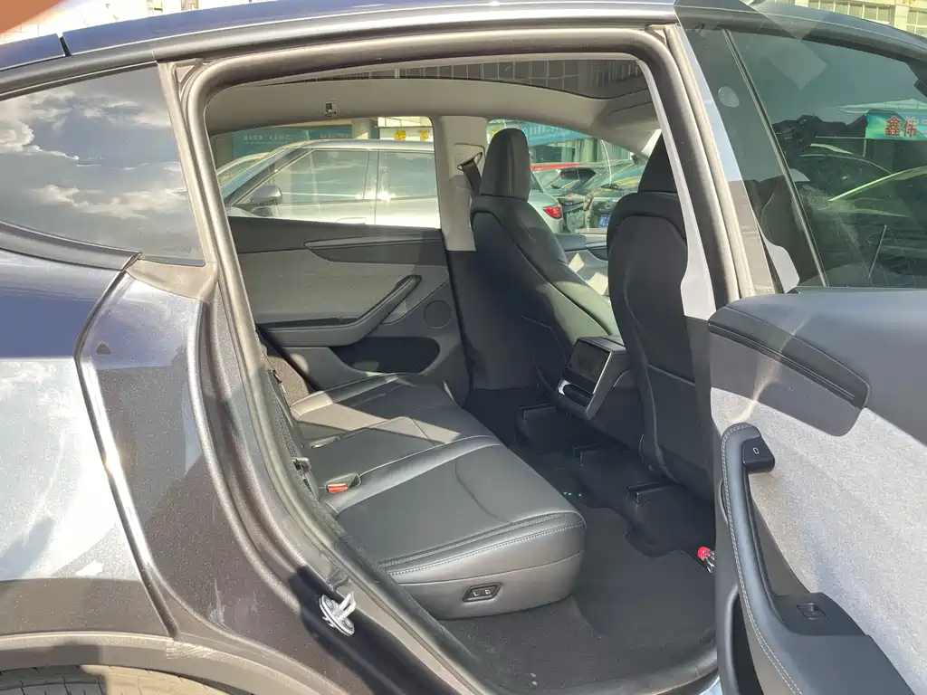 Tesla Model Y — миниатюра 10