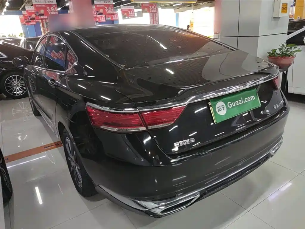 Geely Borui 2022 1.5T PHEV Luxury