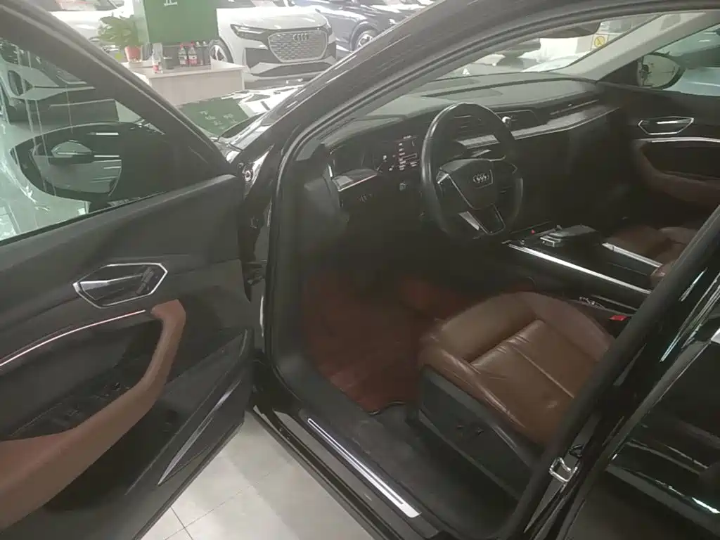Audi e-tron (Import) — миниатюра 16