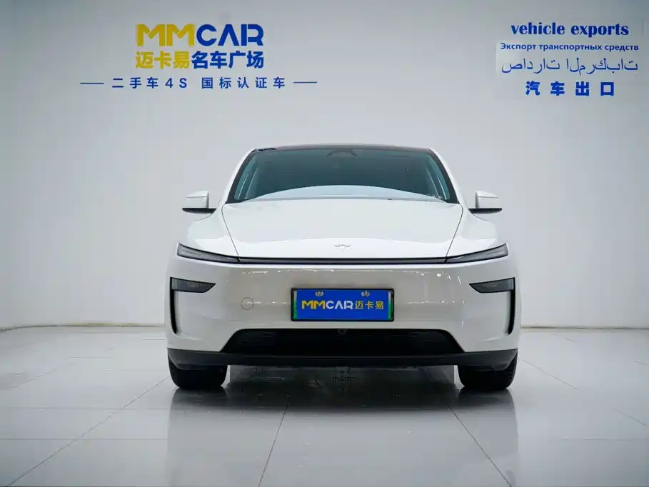 Tesla Model Y — миниатюра 12