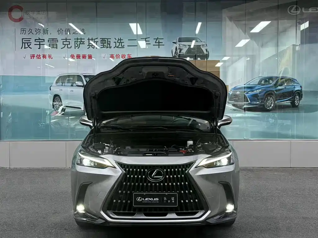 Lexus NX — миниатюра 3