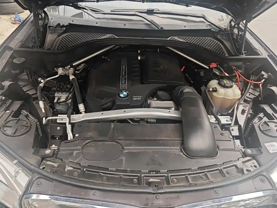 BMW X5 (Import) — миниатюра 10