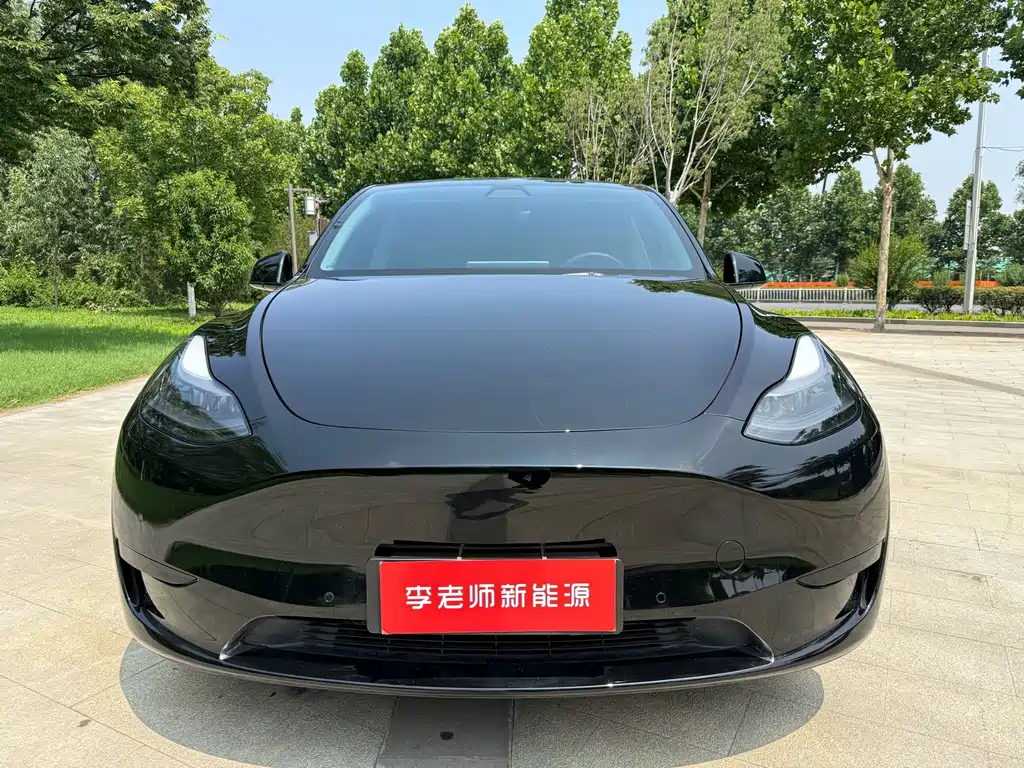 Tesla Model Y — миниатюра 2