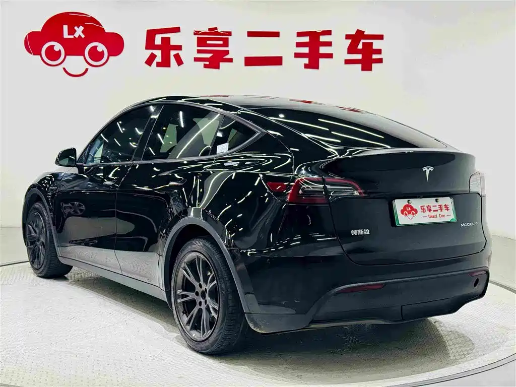 Tesla Model Y — миниатюра 3