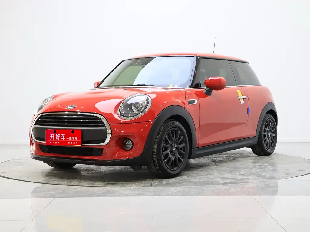 Mini Mini 2020