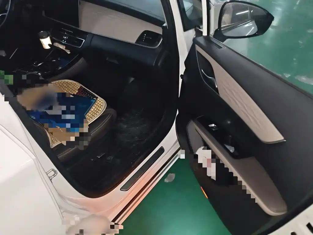 BYD MAX New Energy — миниатюра 18
