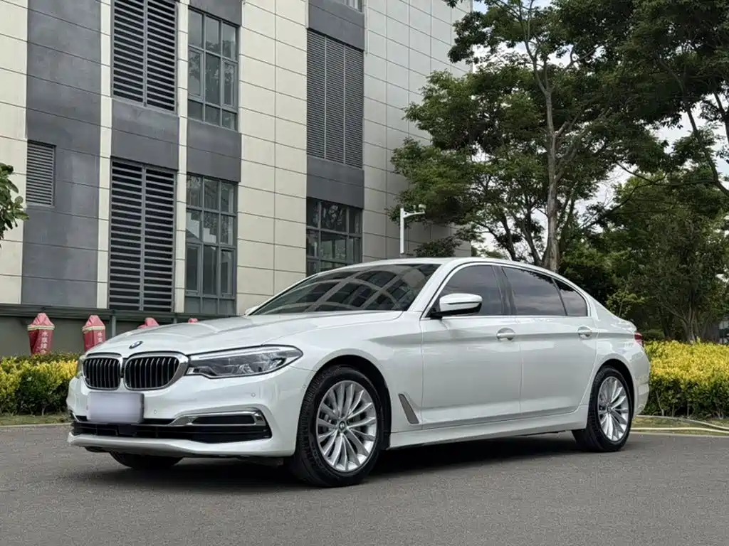 BMW 5 Series 5 2020 530Li Premium Luxury