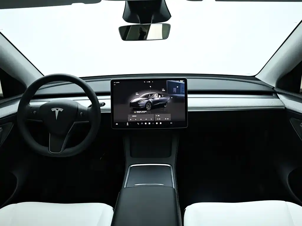 Tesla Model Y — миниатюра 15