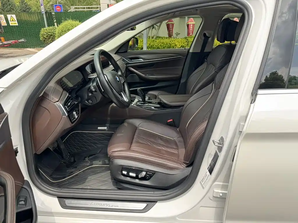 BMW 5 Series 5 2020 530Li Premium Luxury