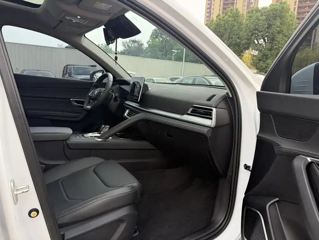 BYD Pro — миниатюра 7