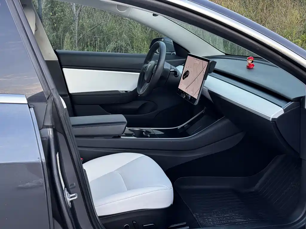 Tesla Model 3 — миниатюра 14
