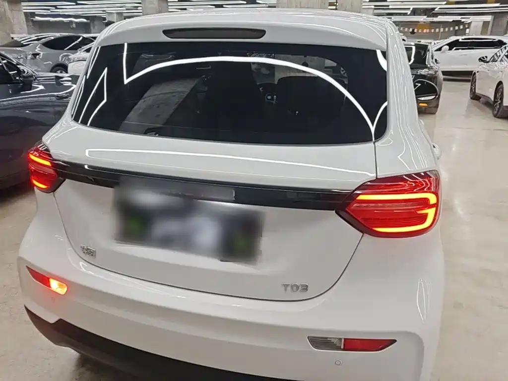Leapmotor T03 2024 310