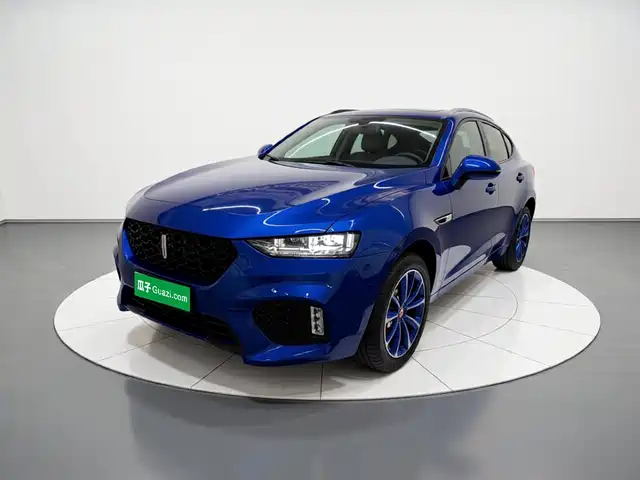2018 Wey VV7