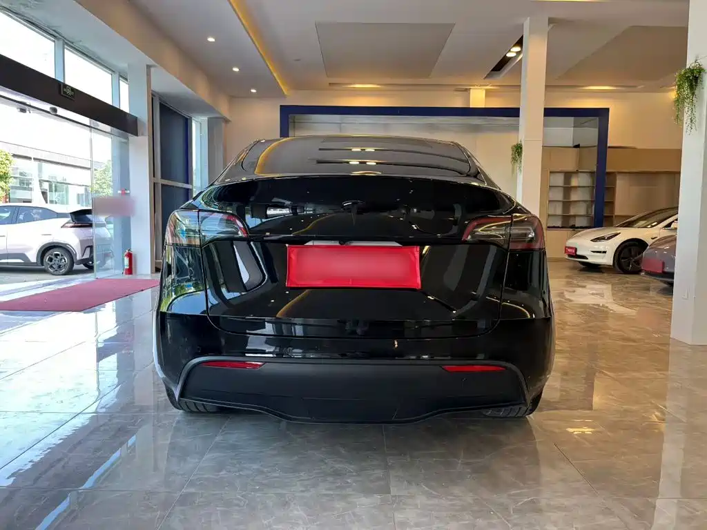 Tesla Model Y — миниатюра 8