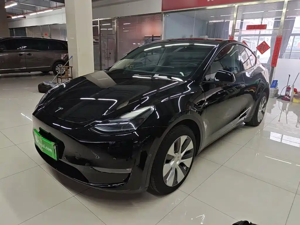 Tesla Model Y — миниатюра 2
