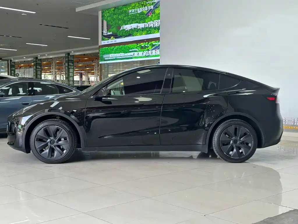 Tesla Model Y — миниатюра 3