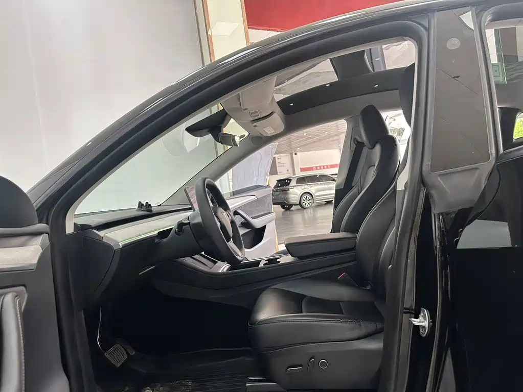 Tesla Model Y — миниатюра 8