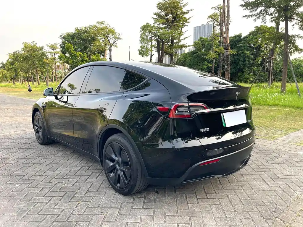 Tesla Model Y — миниатюра 7