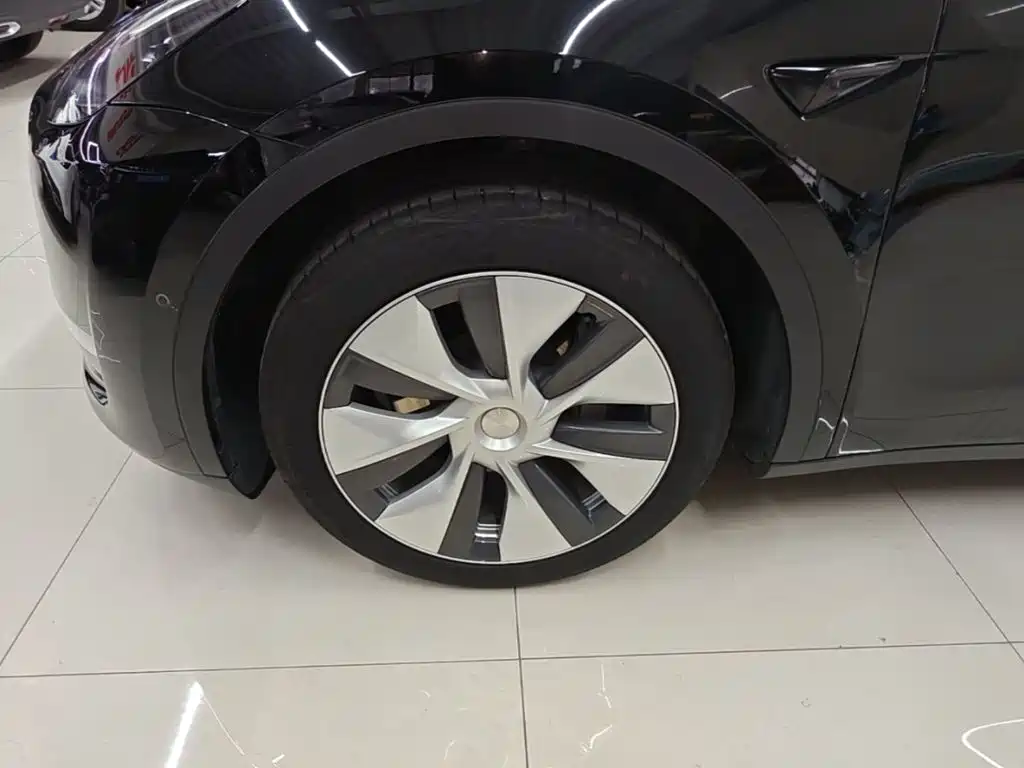 Tesla Model Y — миниатюра 23
