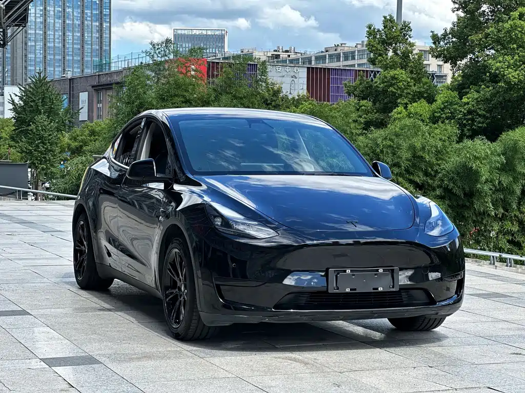 Tesla Model Y — миниатюра 3
