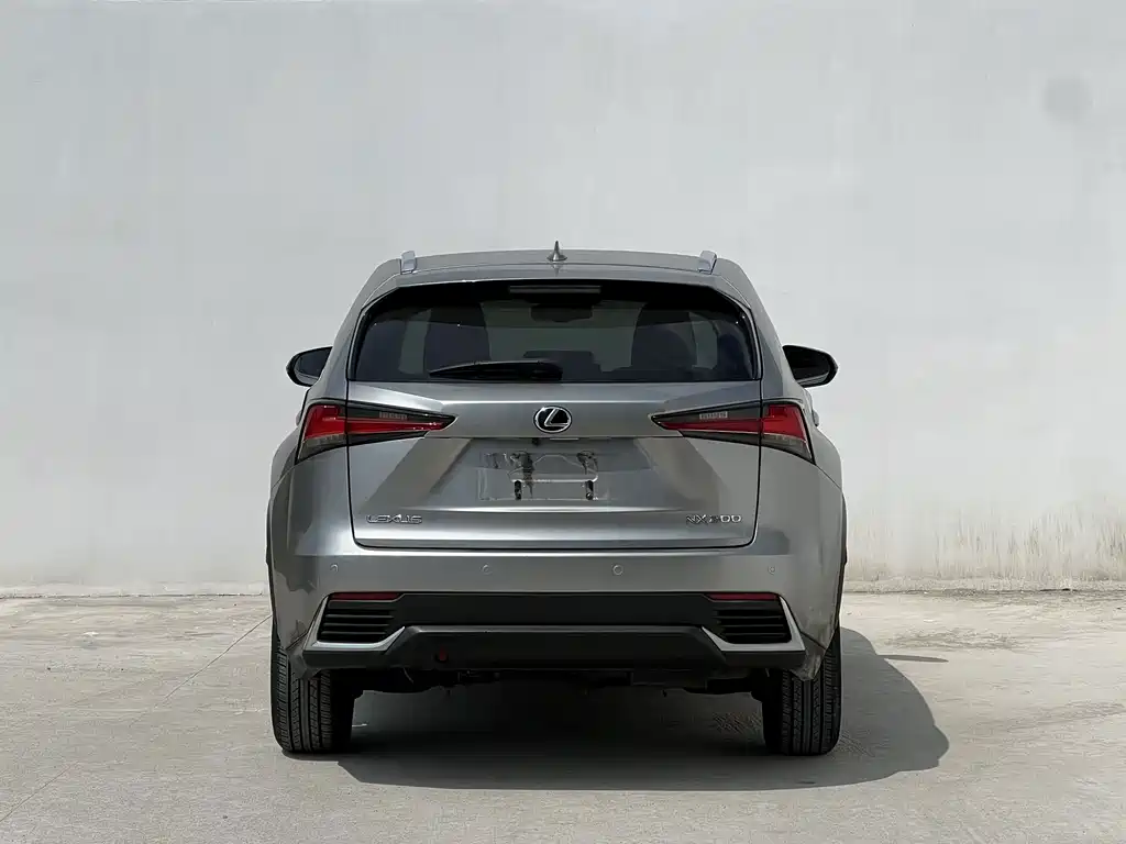 Lexus NX — миниатюра 10