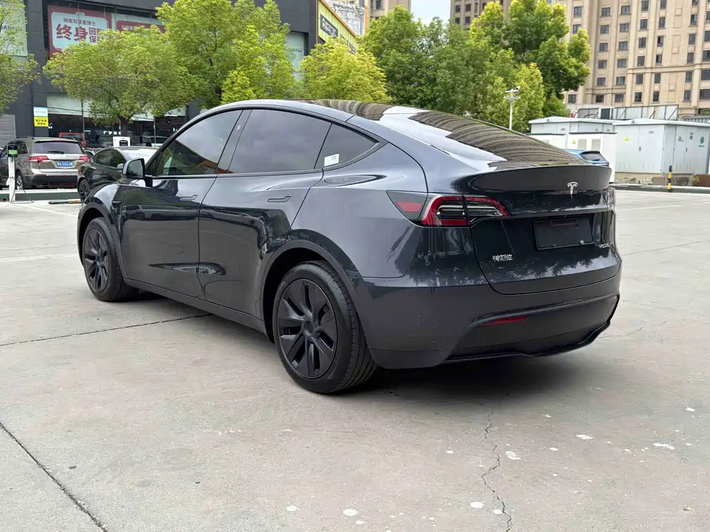 Tesla Model Y — миниатюра 11