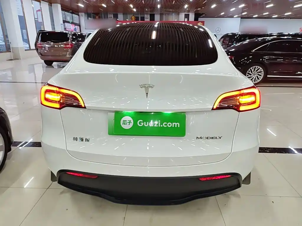 Tesla Model Y — миниатюра 6