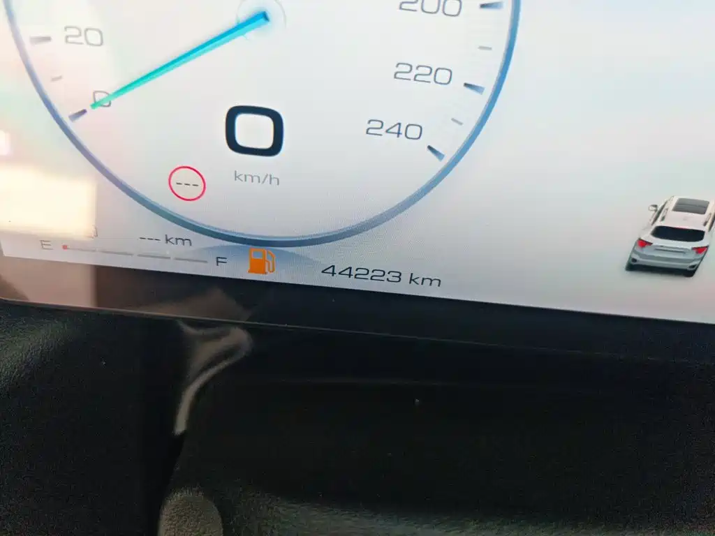 Haval Big Dog PLUS — миниатюра 11