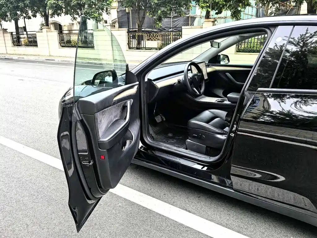 Tesla Model Y — миниатюра 11