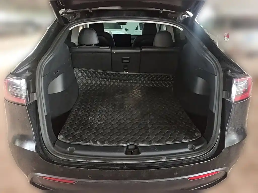 Tesla Model Y — миниатюра 24