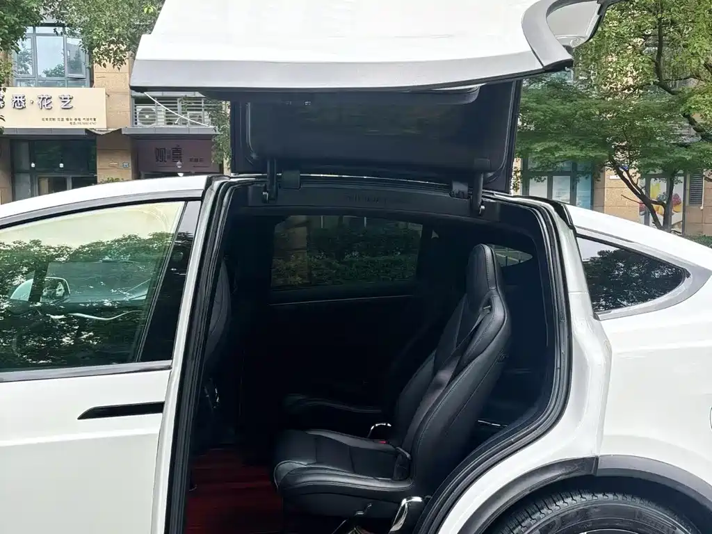 Tesla Model X — миниатюра 5