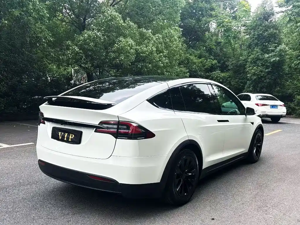 Tesla Model X — миниатюра 3