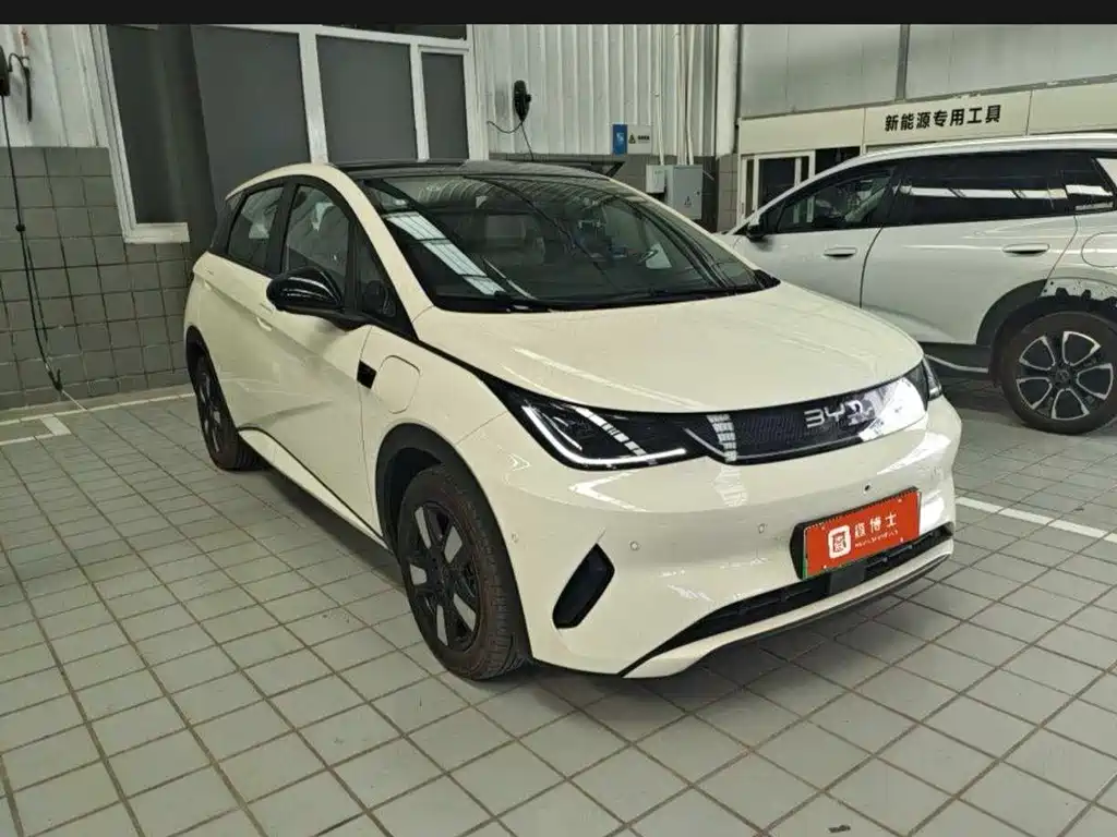BYD Dolphin — миниатюра 2