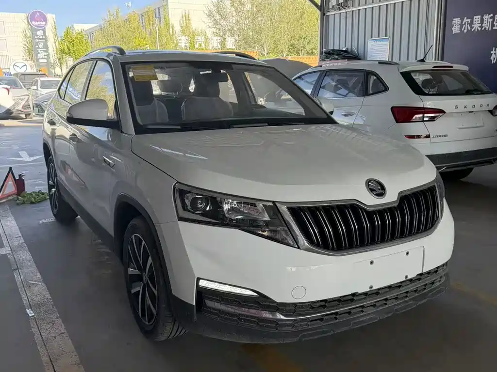 Skoda Kamiq — миниатюра 11