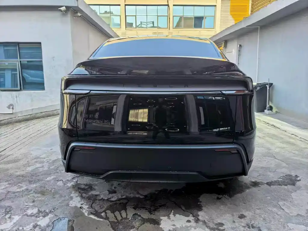Tesla Model Y — миниатюра 8