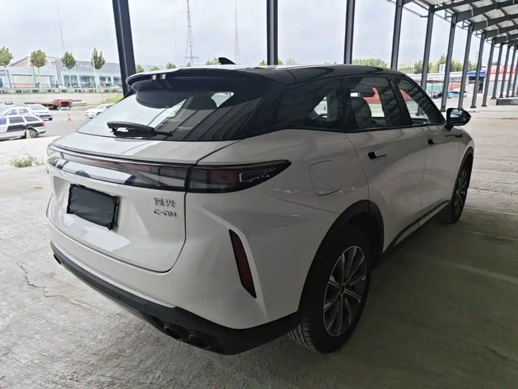 Exeed Yaoguang C-DM — миниатюра 7
