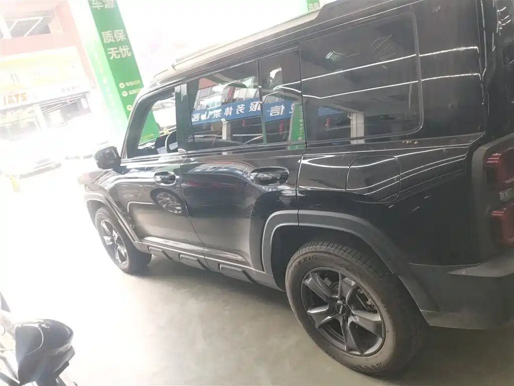 HAVAL  RAPTORS NEW ENERGY