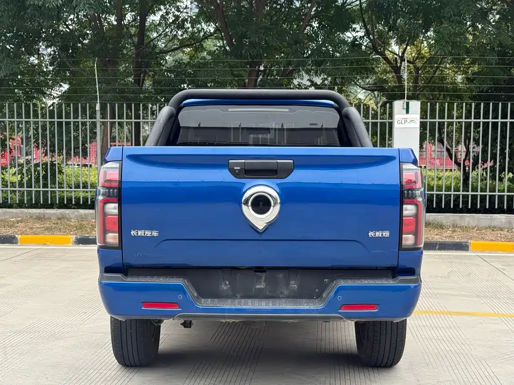 Great Wall Pao — миниатюра 8