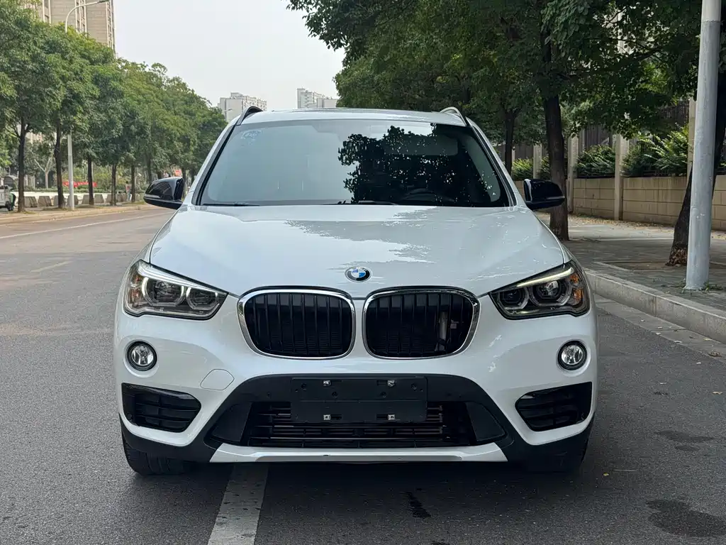BMW X1 — миниатюра 2