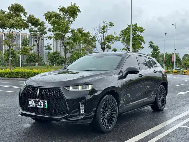 2018 Wey P8