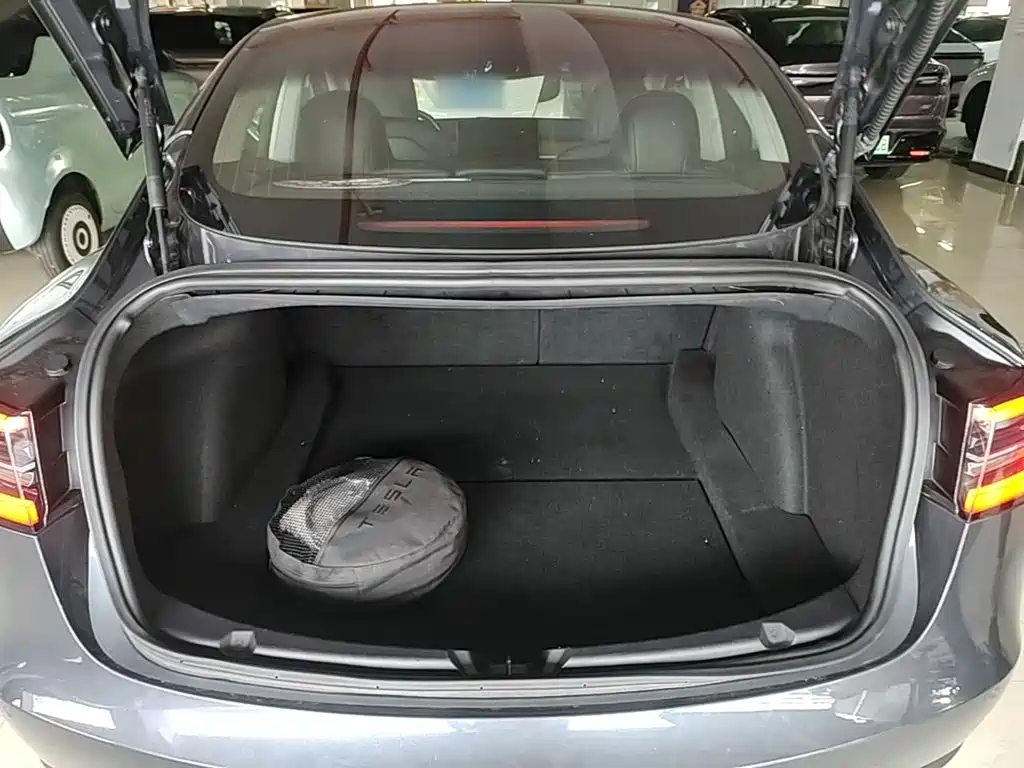Tesla Model 3 — миниатюра 19